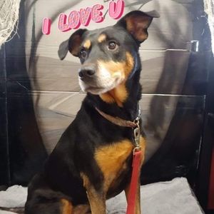 Meet your Posher, Christie